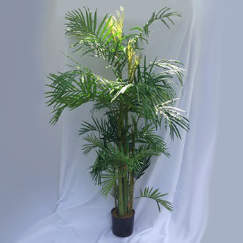 Areca Palm 7' - Artificial Trees & Floor Plants - Hawaiian decoration Minneapolis rentals